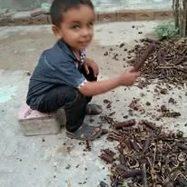 Green Seekers Activity